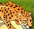 Safari Conect