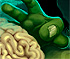 All we need is Brain Level Pack