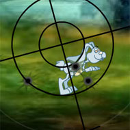 Rabbit Hunt